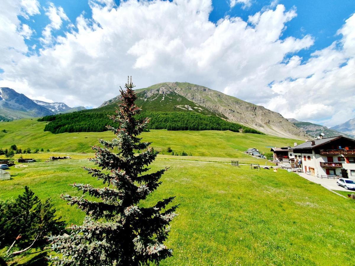 Residence Bait Da Mott Livigno Exterior foto
